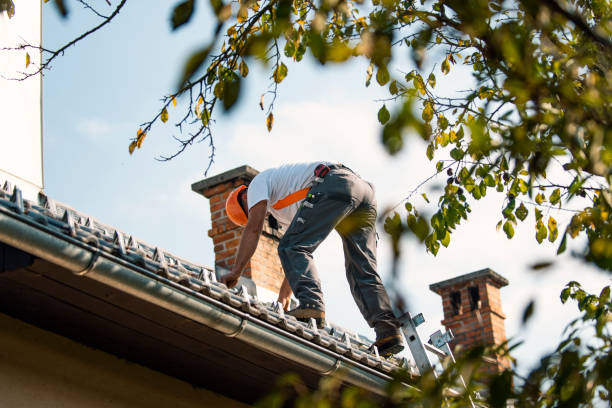 Best Commercial Roofing Services  in Pinedale, WY