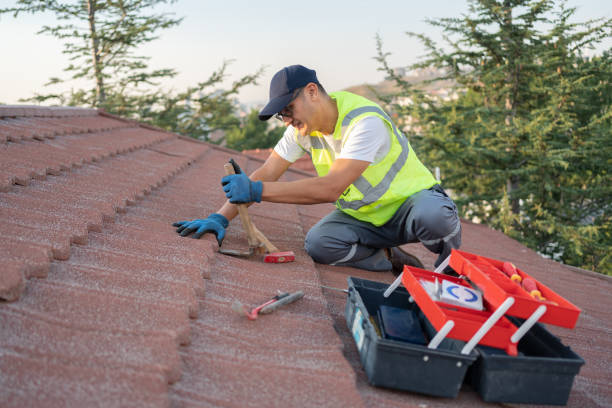 Best Slate Roofing Contractor  in Pinedale, WY
