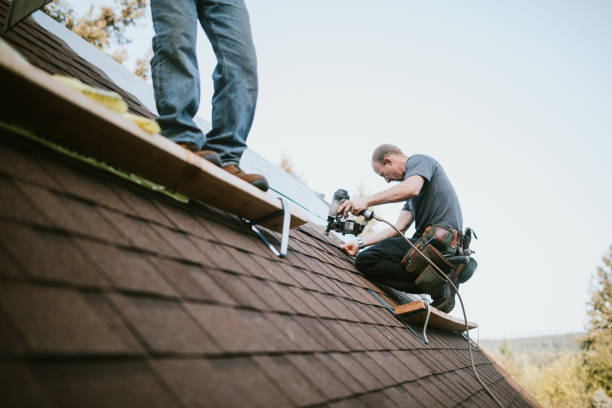 Professional Roofing Contractor in Pinedale, WY